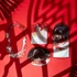 Mysterious Shadow and Traces